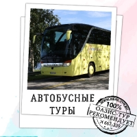 Автобусные туры (0)
